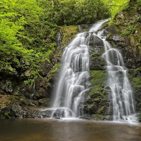 Mountain Eden, Hot Tub, Resort Pool, Wifi, 1089 Free Tickets Each Paid Day, Dollywood And More Гатлинбург Экстерьер фото