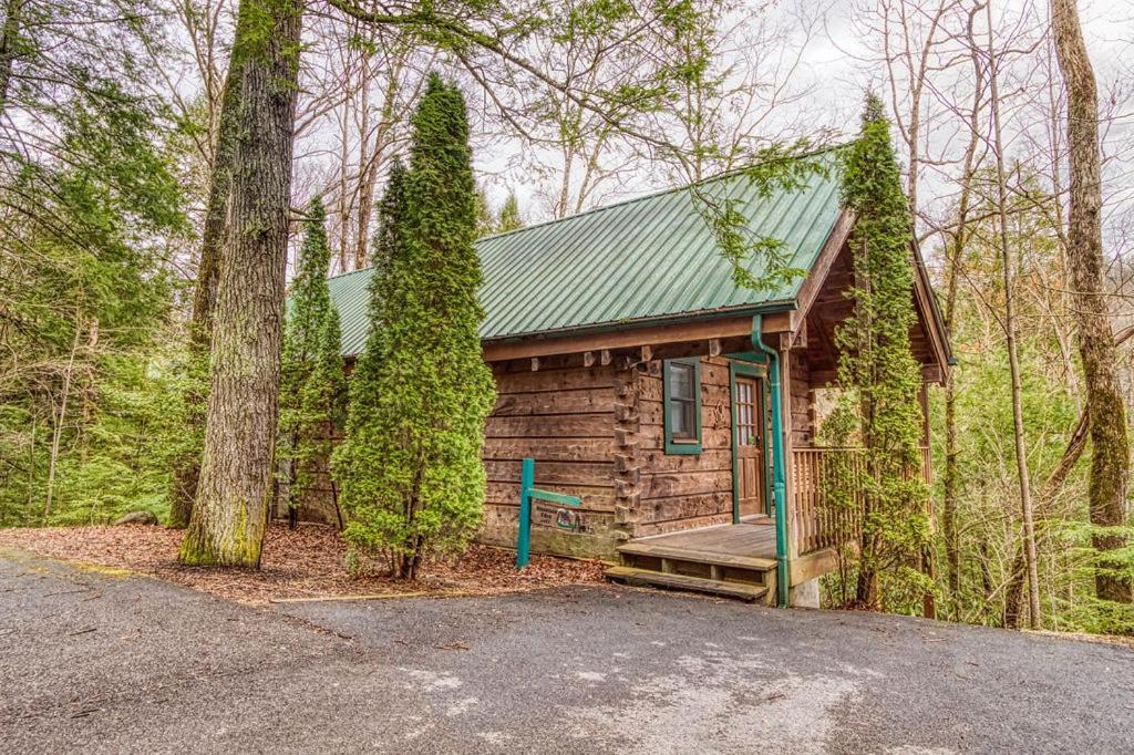 Mountain Eden, Hot Tub, Resort Pool, Wifi, 1089 Free Tickets Each Paid Day, Dollywood And More Гатлинбург Экстерьер фото